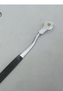 Sexy Lingerie Wartenberg Wheel